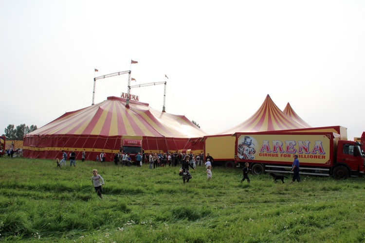 cirkus city