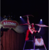 Baldoni-show-2015